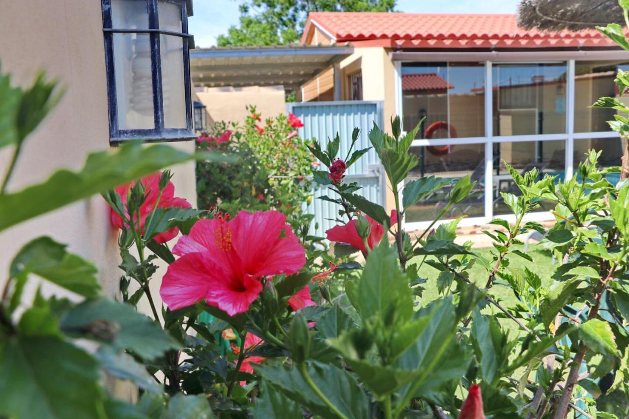 Bungalow Curro Pareja 97 Коніль-де-ла-Фронтера Екстер'єр фото